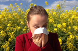 Allergie stagionali, i giusti rimedi per contrastarle